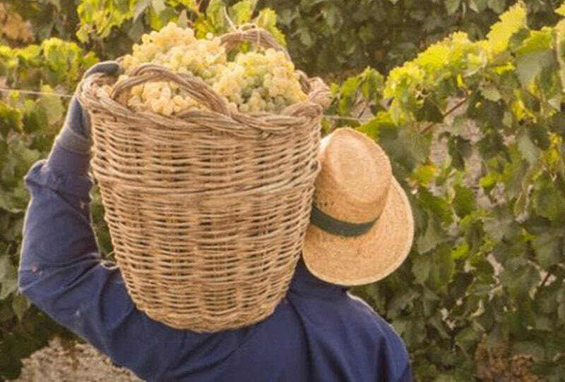 MENSAJE EN UNA BOTELLA® «Quien diga que el alcohol no es una solución, no tiene ni puta idea de química» Edición WHITE